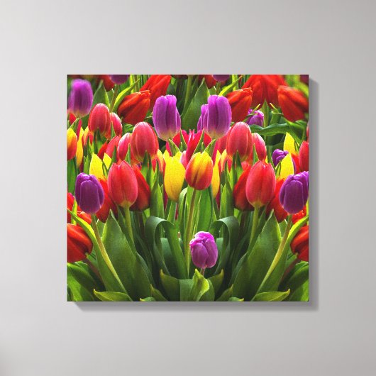 Bright Tulpen Canvas Afdruk (Voorkant)
