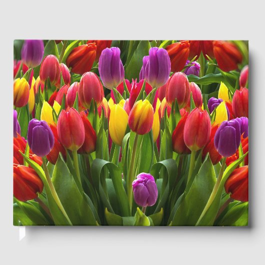 Bright Tulpen Gastenboek (Voorkant)