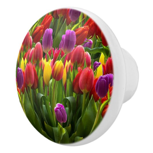 Bright Tulpen Keramische Knop (Rechts)