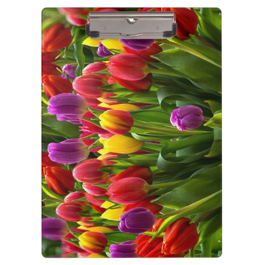 Bright Tulpen Klembord (Voorkant)