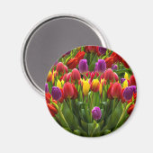 Bright Tulpen Magneet (Voorkant / Achterkant)