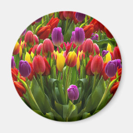 Bright Tulpen Magneet