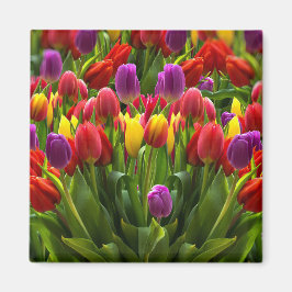 Bright Tulpen Magneet