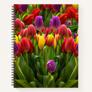 Bright Tulpen Notitieboek