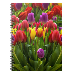Bright Tulpen Notitieboek
