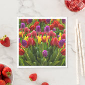 Bright Tulpen Servet (Insitu)