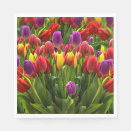 Bright Tulpen Servet