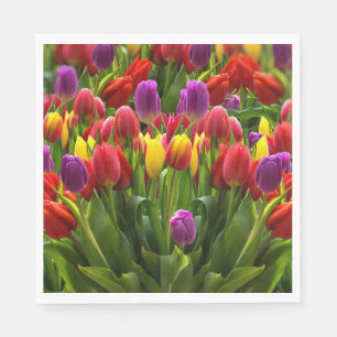 Bright Tulpen Servet