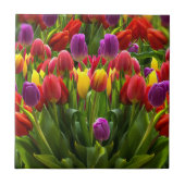 Bright Tulpen Tegeltje (Voorkant)