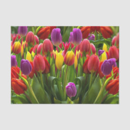 Bright Tulpen Tissuepapier