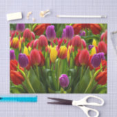 Bright Tulpen Tissuepapier (Craft)