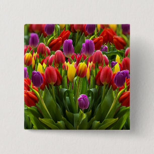 Bright Tulpen Vierkante Button 5,1 Cm