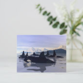 Bright Water Orca Briefkaart (Staand voorkant)