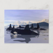Bright Water Orca Briefkaart (Voorkant)