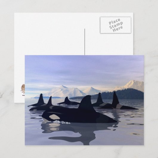 Bright Water Orca Briefkaart (Voorkant / Achterkant)