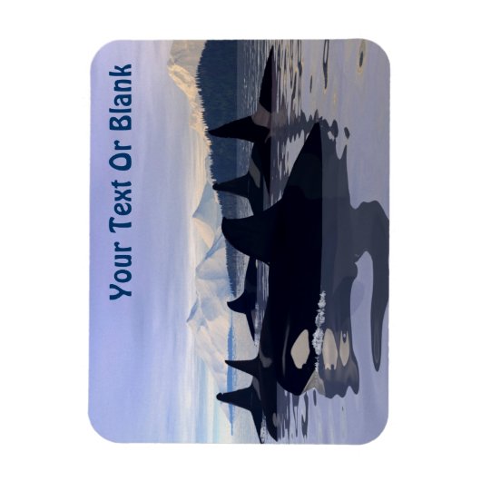 Bright Water Orca Magneet (Verticaal)