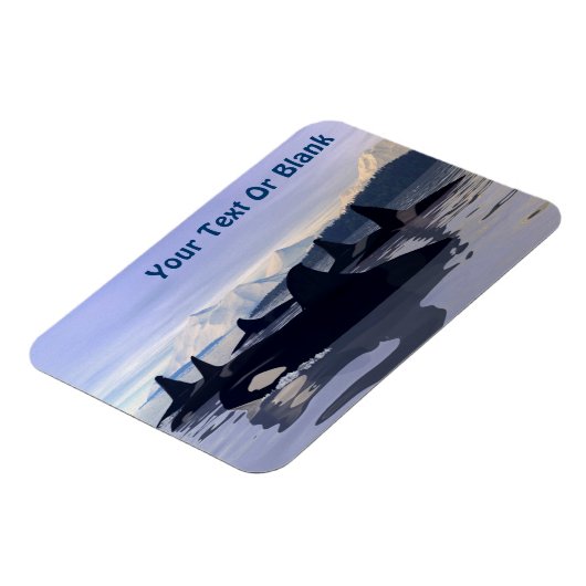 Bright Water Orca Magneet (Linkerzijde)