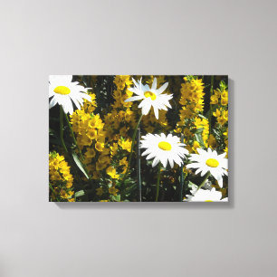 Bright White Daisies Canvas Afdruk