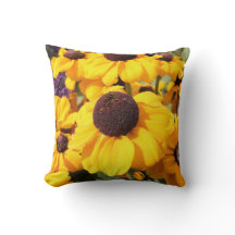 Bright yellow Black-Eyed Susan