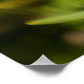 Bright Yellows Poster (Hoek)