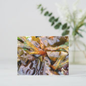 Bright zeewier (briefkaart) briefkaart (Staand voorkant)