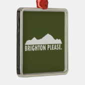 Brighton alsjeblieft metalen ornament (Rechts)