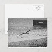 Brighton Briefkaart (Voorkant / Achterkant)