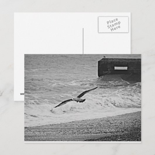 Brighton Briefkaart (Voorkant / Achterkant)