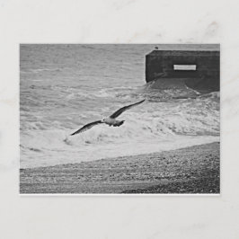 Brighton Briefkaart