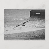 Brighton Briefkaart (Voorkant)