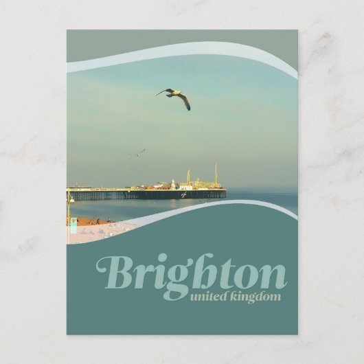 Brighton Pier Seagull Briefkaart (Voorkant)