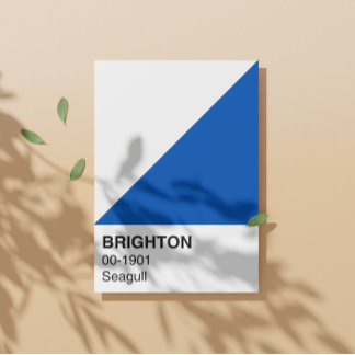 Brighton Zeemeeuw Blauw en Wit - Volledige breedte Perfect Poster