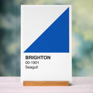 Brighton Zeemeeuw Blauw en Wit - Witte achtergrond Acryl Bord