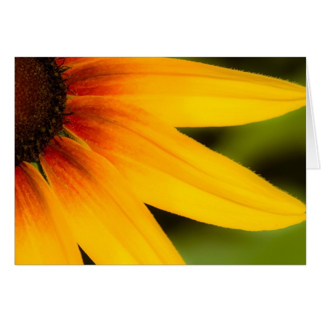 BrightStor (Voorkant Horizontaal)