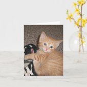 BrightStor Kitten Note-kaart Kaart (Gele Bloem)