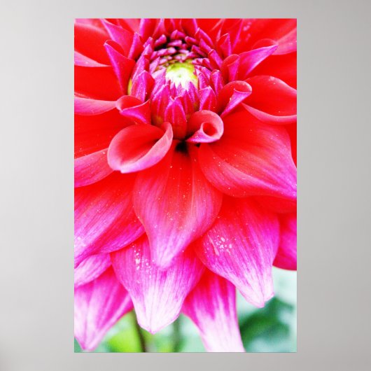 BrightStor Poster (Voorkant)