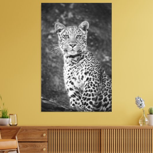 BrightStor Young Leopard Canvas Afdruk (Insitu (Woonkamer))