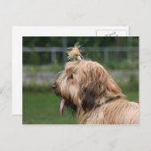 bril briefkaart (Voorkant / Achterkant)