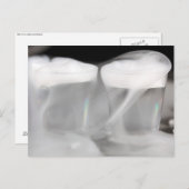 Bril met water en droog ijs briefkaart (Voorkant / Achterkant)