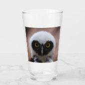Bril-uil Glas (Voorkant)
