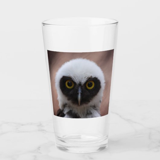 Bril-uil Glas (Voorkant)