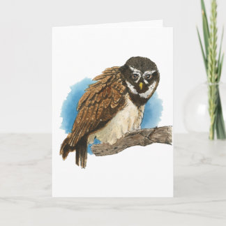 Bril-uil-kerstkaart Feestdagen Kaart