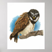 Bril-uil-kunstprint Poster (Voorkant)