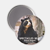 Brilbeer Magneet (Voorkant / Achterkant)