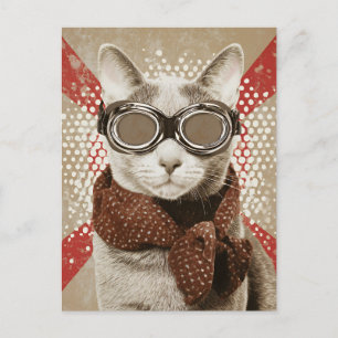 Brildragende Katten Sjaal Retro Vlag Portret Briefkaart