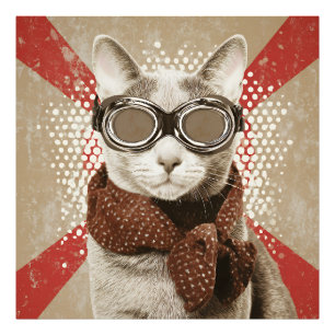 Brildragende Katten Sjaal Retro Vlag Portret Foto Afdruk