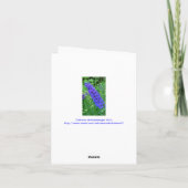 BRILJANT BLAUW RIDDERSPOOR NOTECARD KAART (Achterkant)