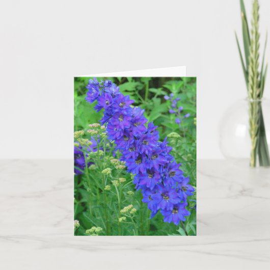 BRILJANT BLAUW RIDDERSPOOR NOTECARD KAART (Voorkant)