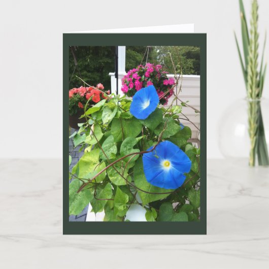 Briljant Blauwe Morgen Glories Blanco  Kaart (Voorkant)