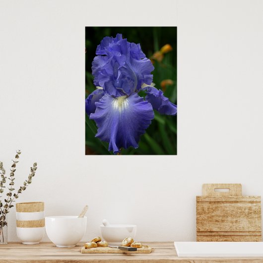 Briljant Paarse Iris-ventilator Poster (Keuken)